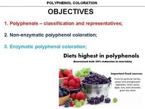POLYPHENOL COLORATION OBJECTIVES 1 Polyphenols classification and representatives