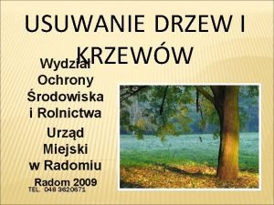 USUWANIE DRZEW I KRZEWW Wydzia Ochrony rodowiska i