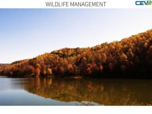 Objectives of wildlife management