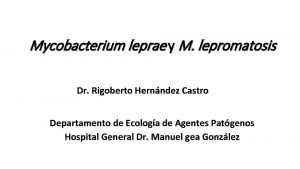 Mycobacterium leprae y M lepromatosis Dr Rigoberto Hernndez
