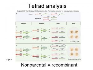 Tetrad analysis Fig 5 15 Nonparental recombinant Tetrad