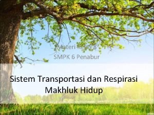 Smpk transport