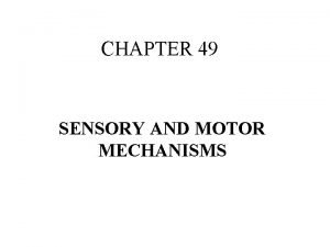 CHAPTER 49 SENSORY AND MOTOR MECHANISMS INTRO TO