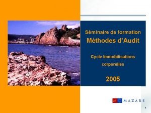 Sminaire de formation Mthodes dAudit Cycle Immobilisations corporelles