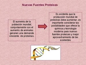 Fuentes proteicas