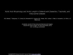 Aortic Arch Morphology and Aortic Length in Patients