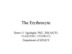 The Erythrocyte Henry O Ogedegbe Ph D BBASCP