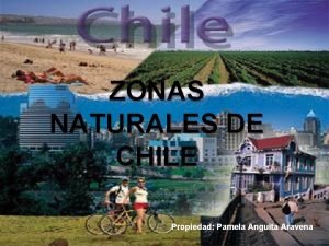 ZONAS NATURALES DE CHILE Propiedad Pamela Anguita Aravena