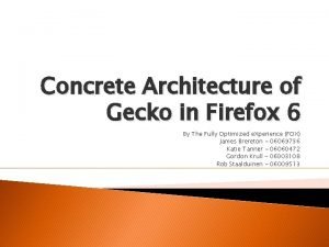 Gecko concrete