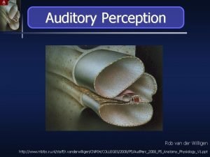 Auditory Perception Rob van der Willigen http www