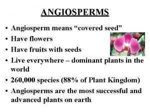 Angiosperm life cycle