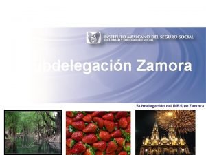 Subdelegacin Zamora Subdelegacin del IMSS en Zamora TRAMITES