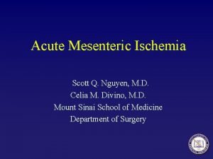 Mesenteric angiogram