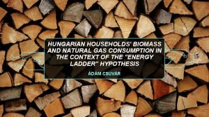 HUNGARIAN HOUSEHOLDS BIOMASS AND NATURAL GAS CONSUMPTION IN