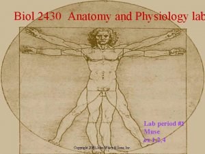 Biol 2430 Anatomy and Physiology lab Lab period