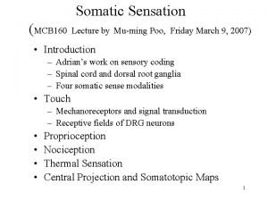 Spinal cord parts Spinal cord parts
