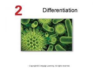 Differentiation Copyright Cengage Learning All rights reserved Implicit