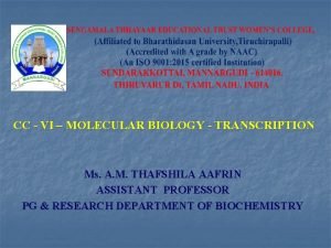 CC VI MOLECULAR BIOLOGY TRANSCRIPTION Ms A M