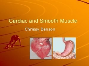 Cardiac and Smooth Muscle Chrissy Benson Cardiac Muscle