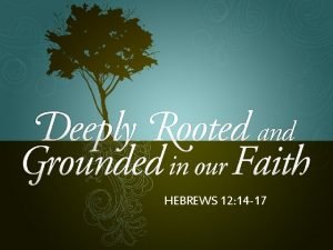 Hebrews 12 14-17 Hebrews 12 14-17