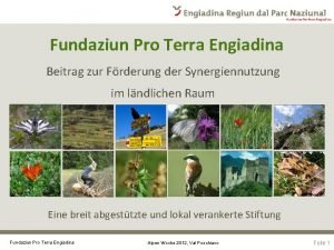 Fundaziun Pro Terra Engiadina Beitrag zur Frderung der