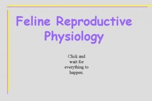 Feline Reproductive Physiology Click and wait for everything