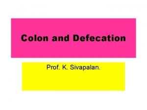 Colon and Defecation Prof K Sivapalan Functions of