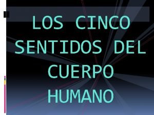 Sentidos del ser humano