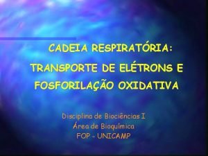 CADEIA RESPIRATRIA TRANSPORTE DE ELTRONS E FOSFORILAO OXIDATIVA