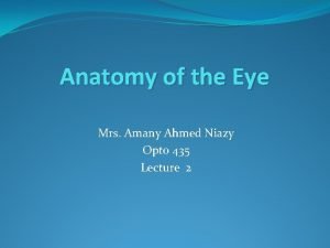 Anatomy of the Eye Mrs Amany Ahmed Niazy