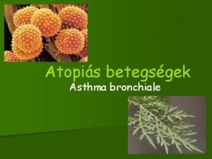 Atopis betegsgek Asthma bronchiale A LGUTAK ANATMIAI S