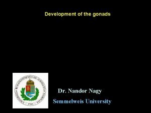 Testicular feminization syndrome Testicular feminization syndrome