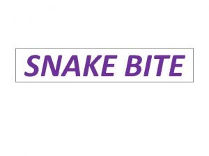 SNAKE BITE Classification of snakes Poisonous snakes belong
