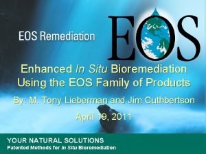 Enhanced In Situ Bioremediation Using the EOS Family