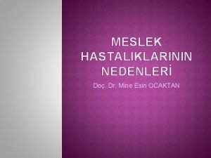 MESLEK HASTALIKLARININ NEDENLER Do Dr Mine Esin OCAKTAN