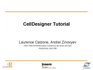 Cell designer