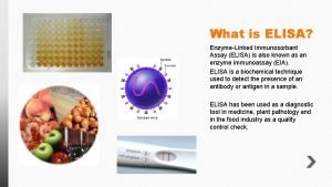 What is ELISA EnzymeLinked Immunosorbant Assay ELISA is