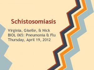 Schistosomiasis Virginia Giselle Nick BIOL 065 Pneumonia Flu