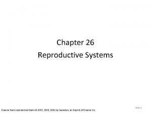 Chapter 26 Reproductive Systems Elsevier items and derived