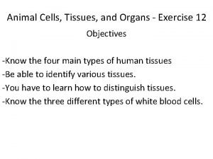 Identify the cell