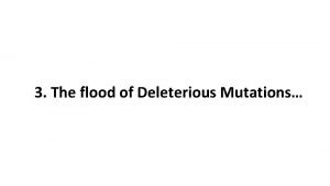 3 The flood of Deleterious Mutations Mullers Fear