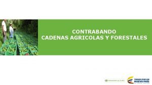 CONTRABANDO CADENAS AGRICOLAS Y FORESTALES Problemtica Los productores