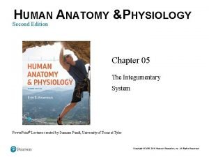 HUMAN ANATOMY PHYSIOLOGY Second Edition Chapter 05 The