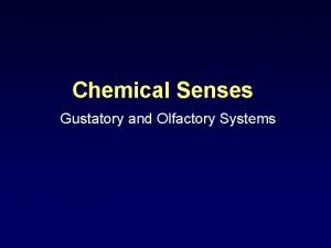 Chemical Senses Gustatory and Olfactory Systems LOCATION OF