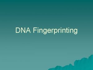 Gel electrophoresis separates dna by