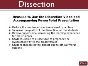 Dissection 101 Reasons to Use the Dissection Video