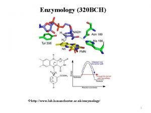 Enzymology 320 BCH vhttp www lab ls manchester