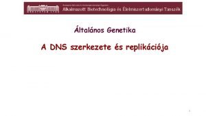 ltalnos Genetika A DNS szerkezete s replikcija 1