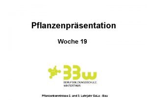 Pflanzenprsentation Woche 19 Pflanzenkenntnisse 2 und 3 Lehrjahr