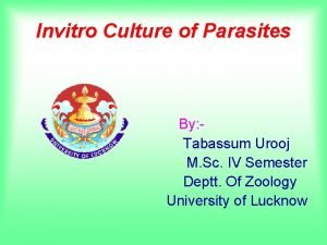 Invitro Culture of Parasites By Tabassum Urooj M